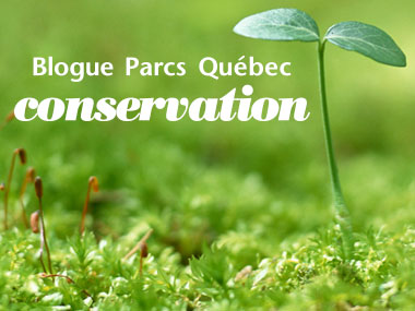 Parcs Québec conservation