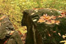 msb_dec_naissance