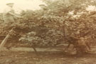msb_dec_heritage