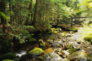 mme_habiter_nature