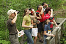 aig_observation_oiseaux
