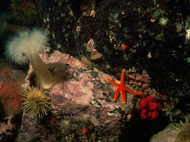 Richesses naturelles sous la surface