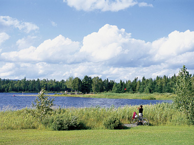 Baie-aux-rats-musqués
