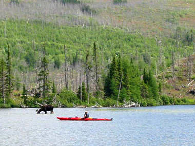 Kayak