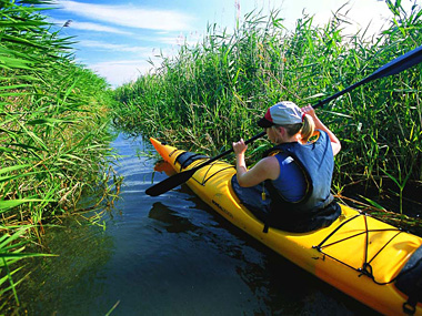 Kayak