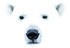 paq_campagne_ours_blancs