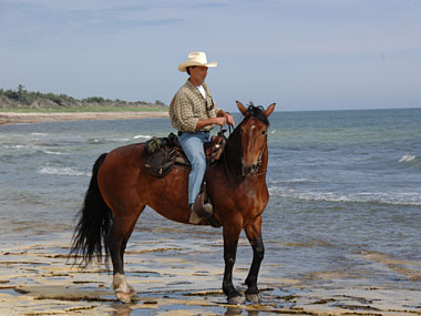 photo_equitation.jpg