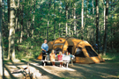 camping_oka.jpg