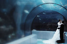 Aquarium Mariage
