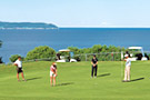 for_vrsoupergolfplus_pre.jpg