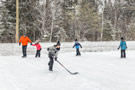 patinoire_sim.jpg