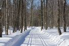 ski_fond_duc.jpg