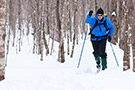ski_fond_pal.jpg