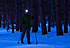 msb ski soiree