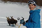 amc observation faune hiver