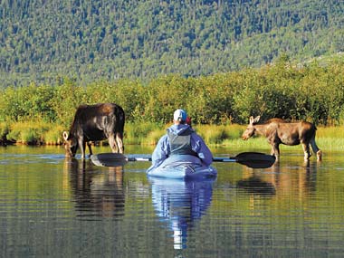 photo_voyage.jpg