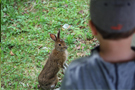observation_faune_pod.jpg