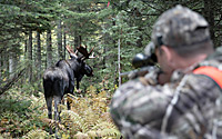 Tas Photo Chasse