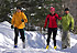 ski amis