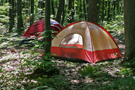 camping_ass.jpg