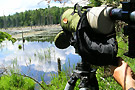 fro observation faune