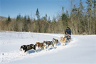 traineau_chiens_duc.jpg