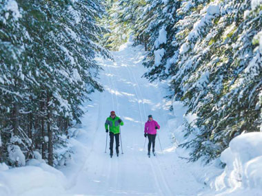 photo_camp_mercier.jpg