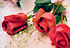 pcm_stvalentin