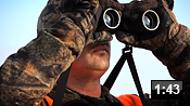 san_chasse.jpg
