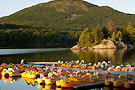 mor pedalo