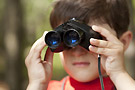 mor observation faune