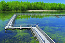 pla passerelle