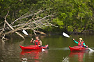 pla kayak
