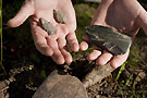 pla archeologue en herbe