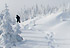 mva fantome hiver promo