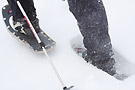bic survie hiver