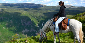 &Eacute;quitation