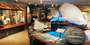 Exposition permanente