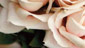 Romance