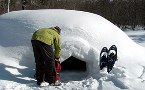 Igloo