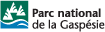 gas