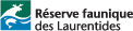 lau