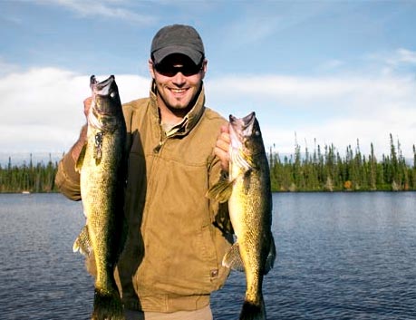 Fisher picture