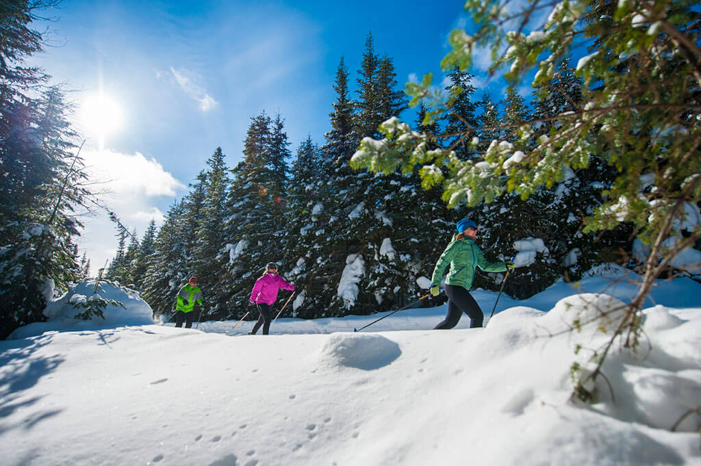 Camp Mercier Réserve faunique des Laurentides Réserves fauniques