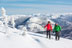 Image de «Skier les sommets de la Gaspésie».